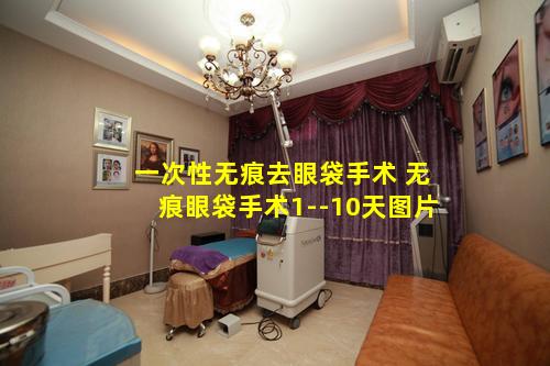 一次性无痕去眼袋手术 无痕眼袋手术1--10天图片